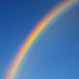 Chasing Rainbows Chasing Rainbows