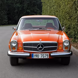 Classic Beauty Classic Beauty