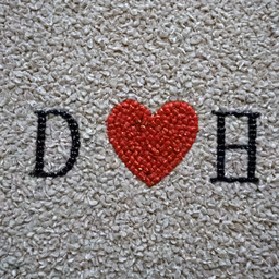 D Heart H