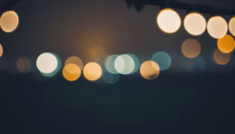 City Lights City Lights