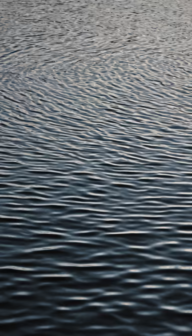 Water Ripples Water Ripples