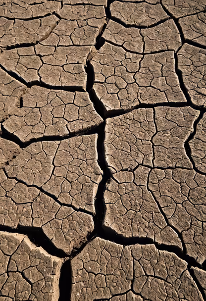 Cracked Earth