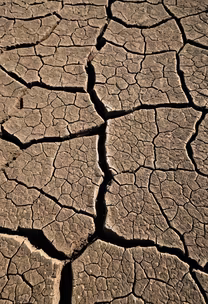 Cracked Earth Cracked Earth