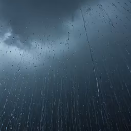 Rainy Day Blues Rainy Day Blues