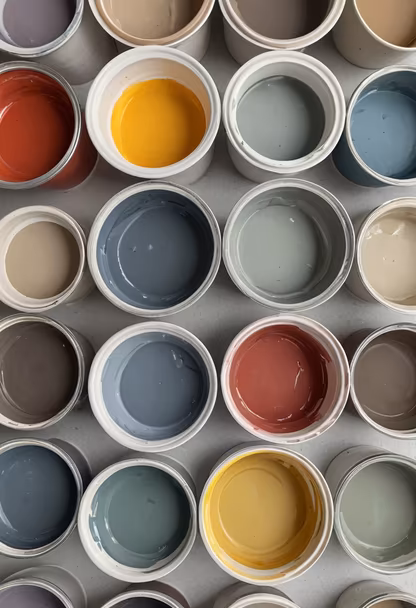 Color Palette Inspiration