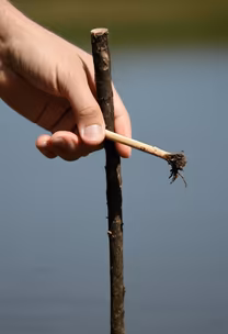 Nature's Craft Nature's Craft