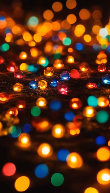 Holiday Lights Holiday Lights