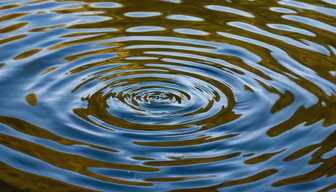 Ripple Effect Ripple Effect