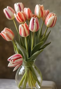 Tulip Bouquet