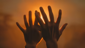 Golden Touch Golden Touch