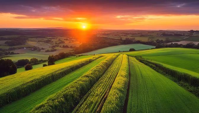 Golden Hour Over the Fields