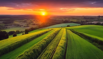 Golden Hour Over the Fields Golden Hour Over the Fields