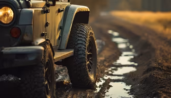Muddy Adventures Muddy Adventures