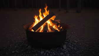 Cozy Campfire Nights Cozy Campfire Nights