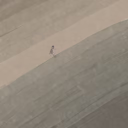 Solitary Journey Solitary Journey