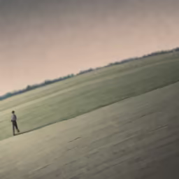 Solitary Wanderer Solitary Wanderer