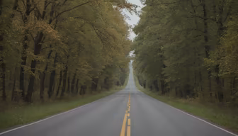 Road to Serenity Road to Serenity
