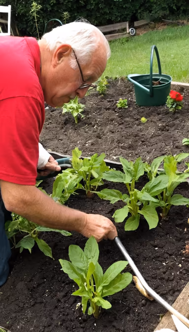 Gardening Time Gardening Time