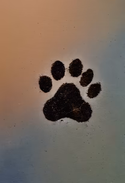 Paw Print