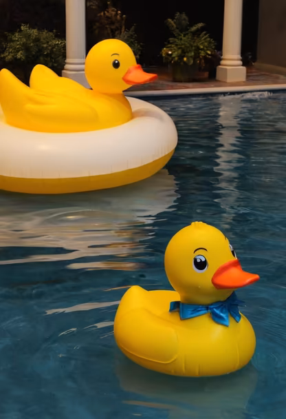 Duckie Pool Party Duckie Pool Party