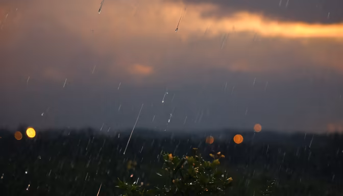 Rainy Evening