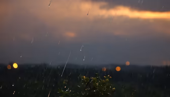 Rainy Evening Rainy Evening
