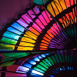 Rainbow Fan Rainbow Fan