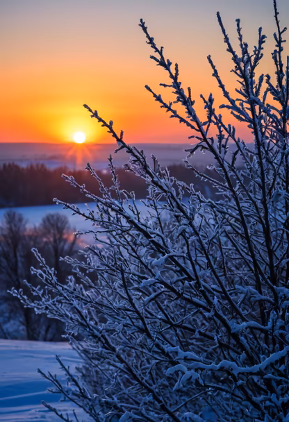 Winter's Embrace Winter's Embrace
