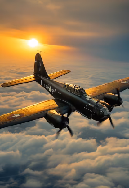 Sunset Flight Sunset Flight