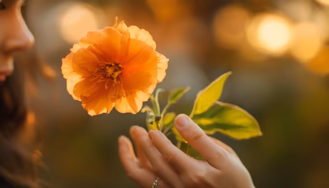 Golden Hour Bloom