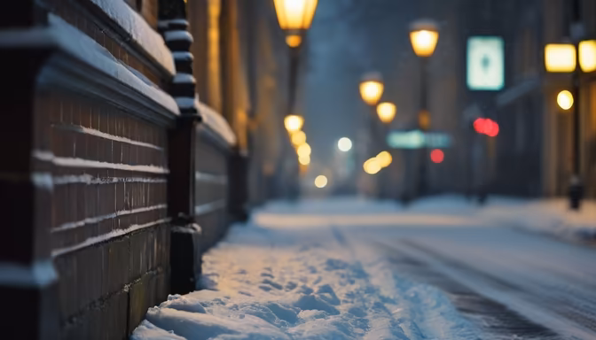 Winter's Embrace