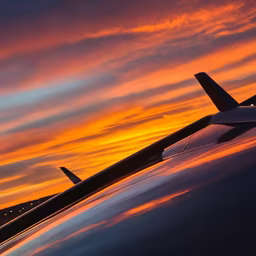 Sunset Flight Sunset Flight