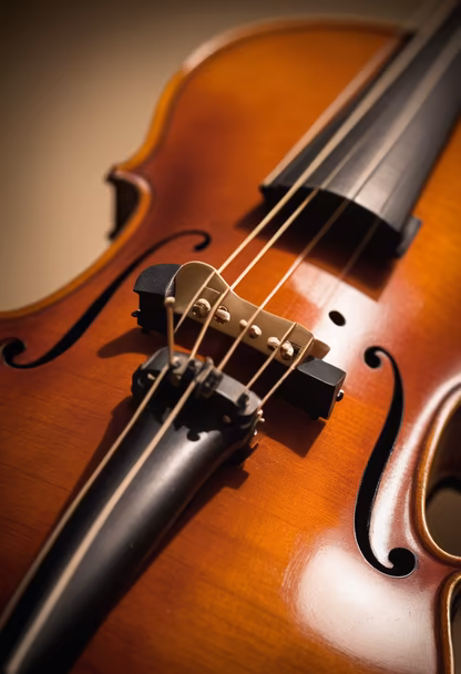 Violin Close-Up Violin Close-Up