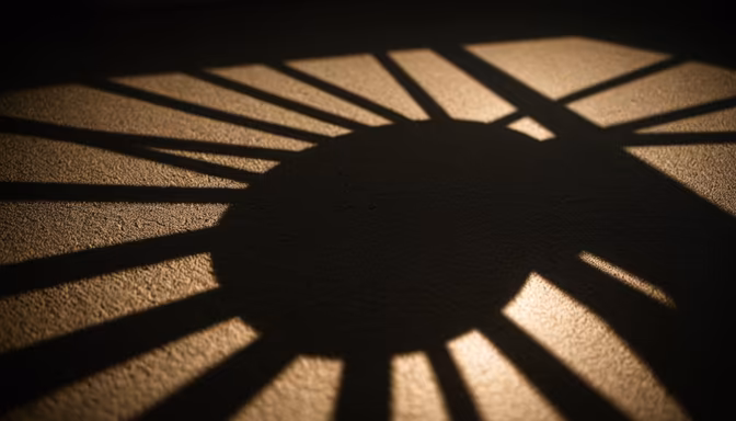 Shadow Play