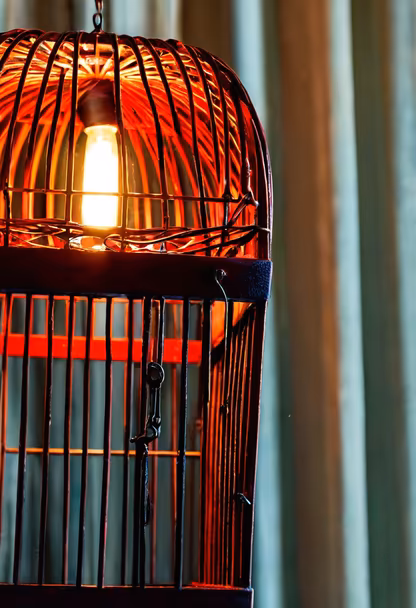 Illuminated Cage Illuminated Cage