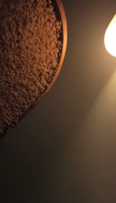 Cozy Textures Cozy Textures