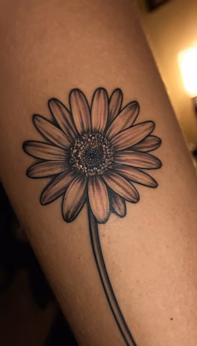 Daisy Delight