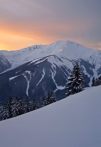 Winter Majesty