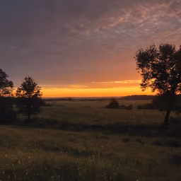 Golden Hour Serenity