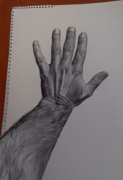 The Hand