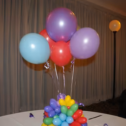 Balloon Celebration Balloon Celebration
