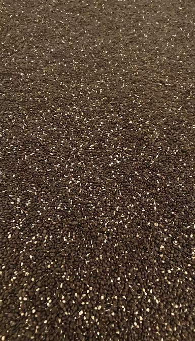 Tiny Seeds Tiny Seeds