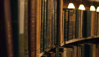 Literary Haven Literary Haven