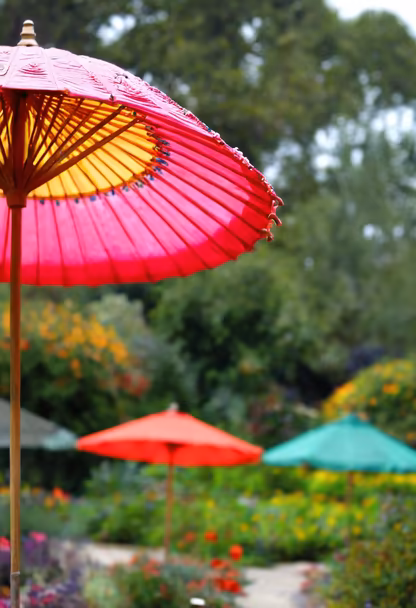 Umbrella Garden Umbrella Garden