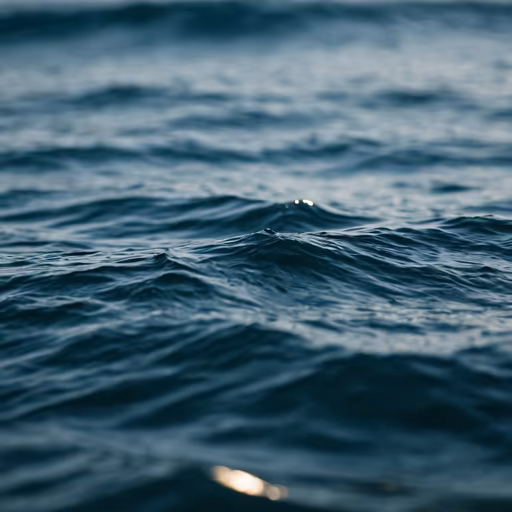 Ocean's Embrace
