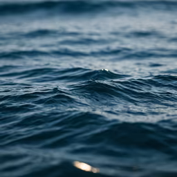 Ocean's Embrace Ocean's Embrace