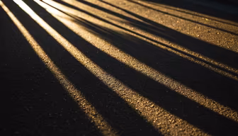 Shadows and Light Shadows and Light