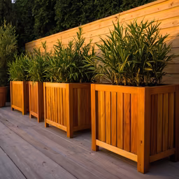 Outdoor Oasis