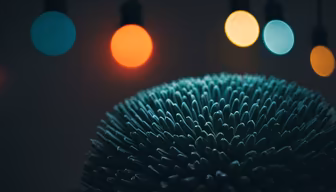 Night Bloom Night Bloom