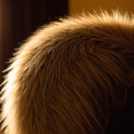 Golden Fur